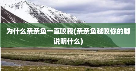 为什么亲亲鱼一直咬我(亲亲鱼越咬你的脚说明什么)