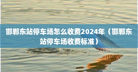邯郸东站停车场怎么收费2024年（邯郸东站停车场收费标准）