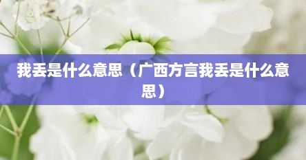 我丢是什么意思（广西方言我丢是什么意思）