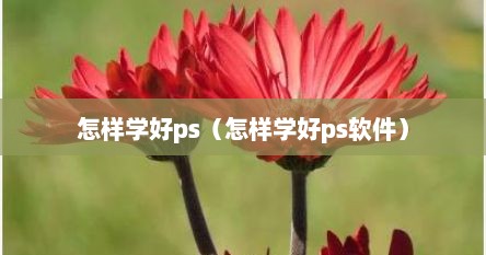 怎样学好ps（怎样学好ps软件）