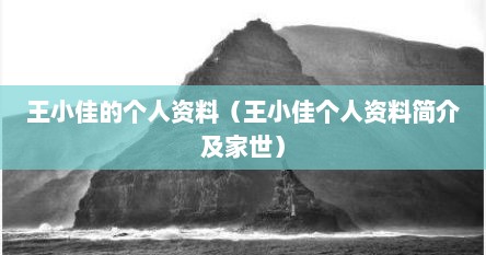 王小佳的个人资料（王小佳个人资料简介及家世）