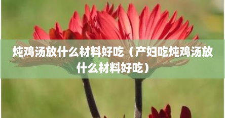 炖鸡汤放什么材料好吃（产妇吃炖鸡汤放什么材料好吃）