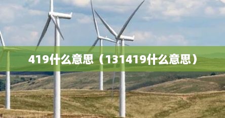 419什么意思（131419什么意思）