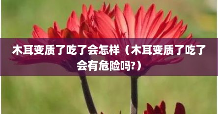 木耳变质了吃了会怎样（木耳变质了吃了会有危险吗?）