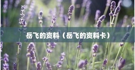 岳飞的资料（岳飞的资料卡）