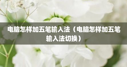 电脑怎样加五笔输入法（电脑怎样加五笔输入法切换）