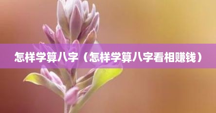 怎样学算八字（怎样学算八字看相赚钱）