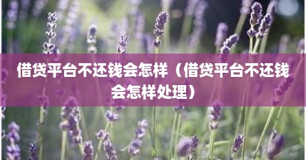 借贷平台不还钱会怎样（借贷平台不还钱会怎样处理）