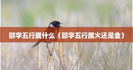 邵字五行属什么（邵字五行属火还是金）