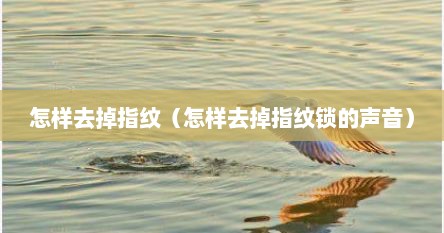 怎样去掉指纹（怎样去掉指纹锁的声音）