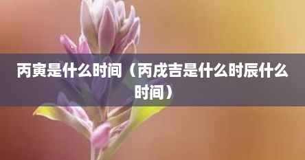 丙寅是什么时间（丙戌吉是什么时辰什么时间）