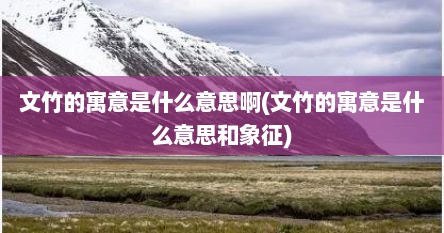 文竹的寓意是什么意思啊(文竹的寓意是什么意思和象征)