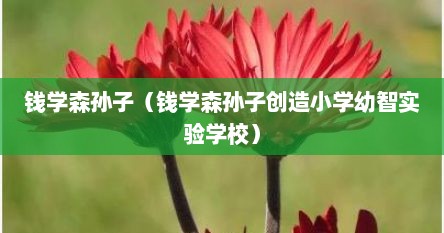 钱学森孙子（钱学森孙子创造小学幼智实验学校）