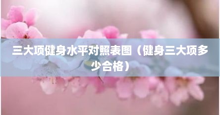 三大项健身水平对照表图（健身三大项多少合格）