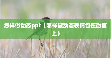 怎样做动态ppt（怎样做动态表情包在微信上）