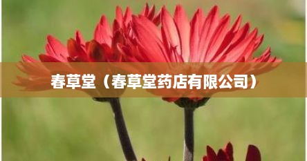 春草堂（春草堂药店有限公司）
