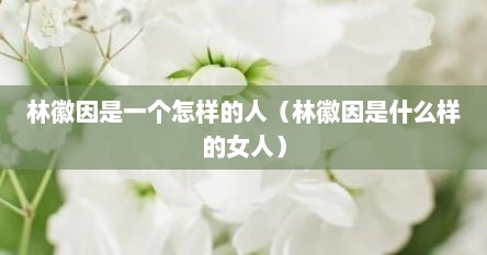 林徽因是一个怎样的人（林徽因是什么样的女人）