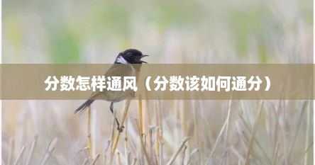 分数怎样通风（分数该如何通分）