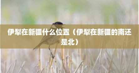 伊犁在新疆什么位置（伊犁在新疆的南还是北）