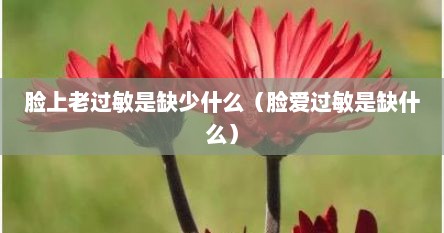 脸上老过敏是缺少什么（脸爱过敏是缺什么）
