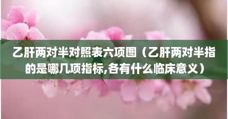 乙肝两对半对照表六项图（乙肝两对半指的是哪几项指标,各有什么临床意义）