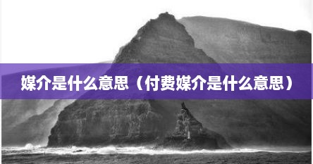媒介是什么意思（付费媒介是什么意思）