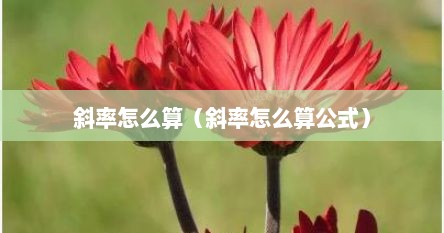 斜率怎么算（斜率怎么算公式）