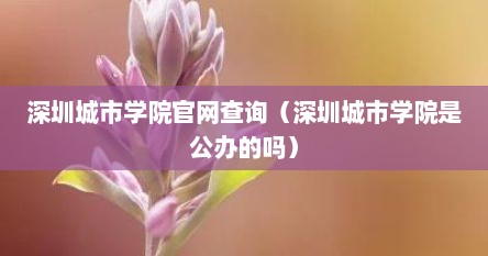 深圳城市学院官网查询（深圳城市学院是公办的吗）