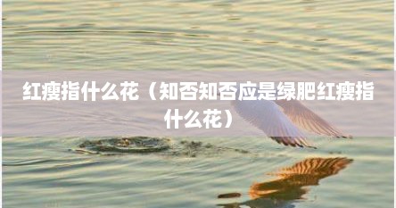 红瘦指什么花（知否知否应是绿肥红瘦指什么花）