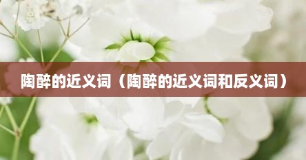 陶醉的近义词（陶醉的近义词和反义词）