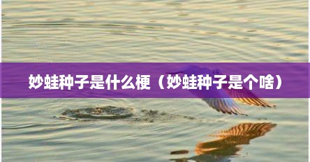 妙蛙种子是什么梗（妙蛙种子是个啥）
