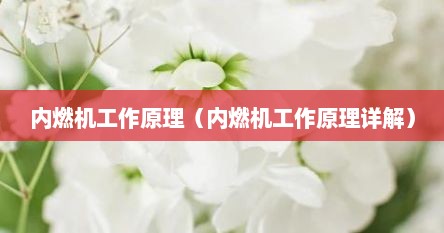 内燃机工作原理（内燃机工作原理详解）