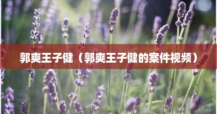 郭爽王子健（郭爽王子健的案件视频）
