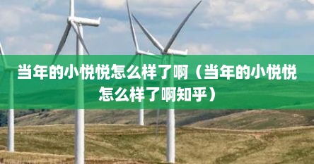 当年的小悦悦怎么样了啊（当年的小悦悦怎么样了啊知乎）