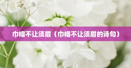 巾帼不让须眉（巾帼不让须眉的诗句）