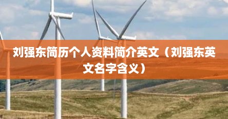 刘强东简历个人资料简介英文（刘强东英文名字含义）