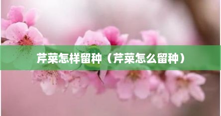 芹菜怎样留种（芹菜怎么留种）