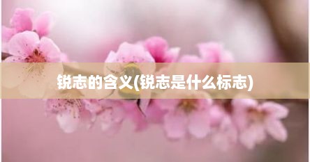 锐志的含义(锐志是什么标志)