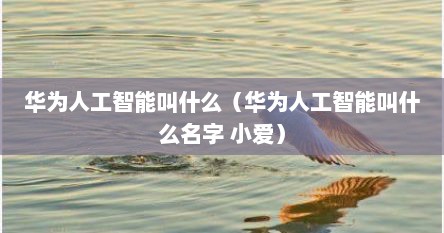 华为人工智能叫什么（华为人工智能叫什么名字 小爱）