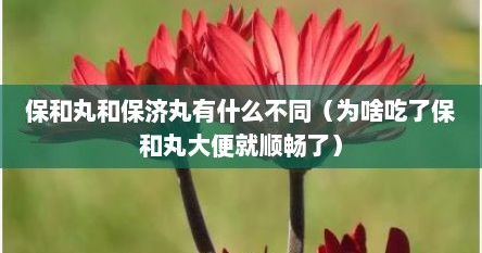 保和丸和保济丸有什么不同（为啥吃了保和丸大便就顺畅了）