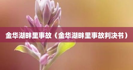 金华湖畔里事故（金华湖畔里事故判决书）