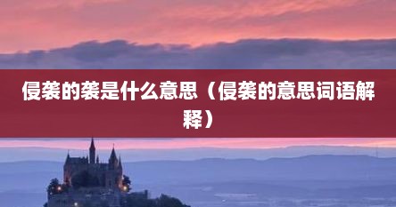 侵袭的袭是什么意思（侵袭的意思词语解释）