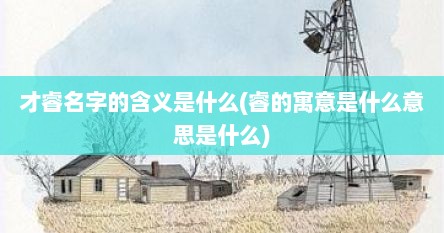 才睿名字的含义是什么(睿的寓意是什么意思是什么)