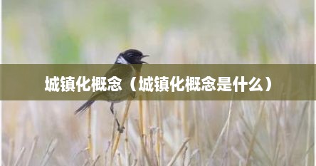 城镇化的概念是什么（城镇化的定义）