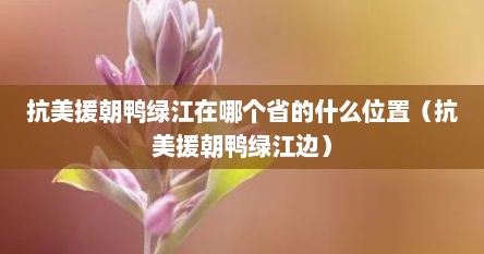 抗美援朝鸭绿江在哪个省的什么位置（抗美援朝鸭绿江边）