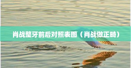 肖战整牙前后对照表图（肖战做正畸）