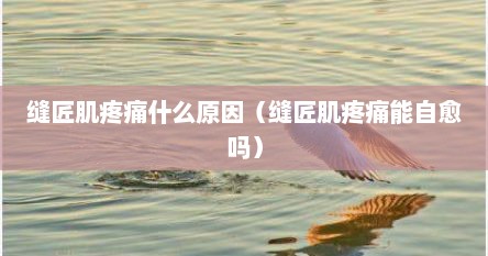 缝匠肌疼痛什么原因（缝匠肌疼痛能自愈吗）