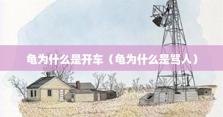 龟为什么叫乌龟（为啥龟速车被大家骂）