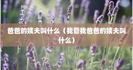 爸爸的姨夫叫什么（我管我爸爸的姨夫叫什么）