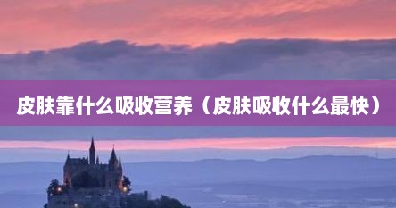 皮肤靠什么吸收营养（皮肤吸收什么最快）